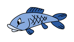 Pesce azzurro: una scelta consapevole per la salute!