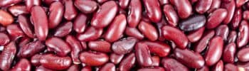 Insalata tiepida di fagioli rossoni, mais e sedano...